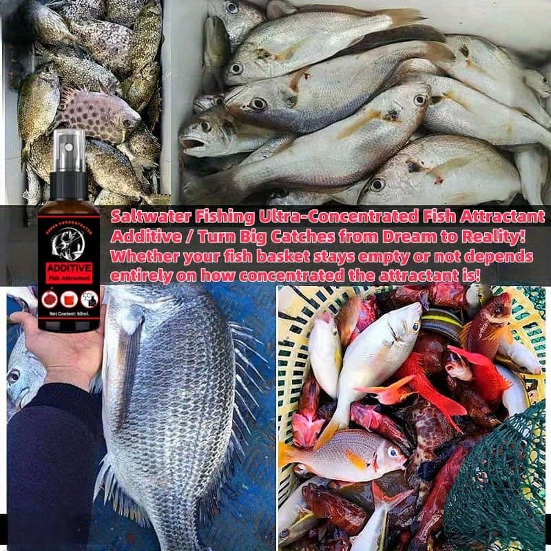 1 adet Süper Konsantre Balık Ç - Fishing Equipment Clearance incelemesi ve fiyatı